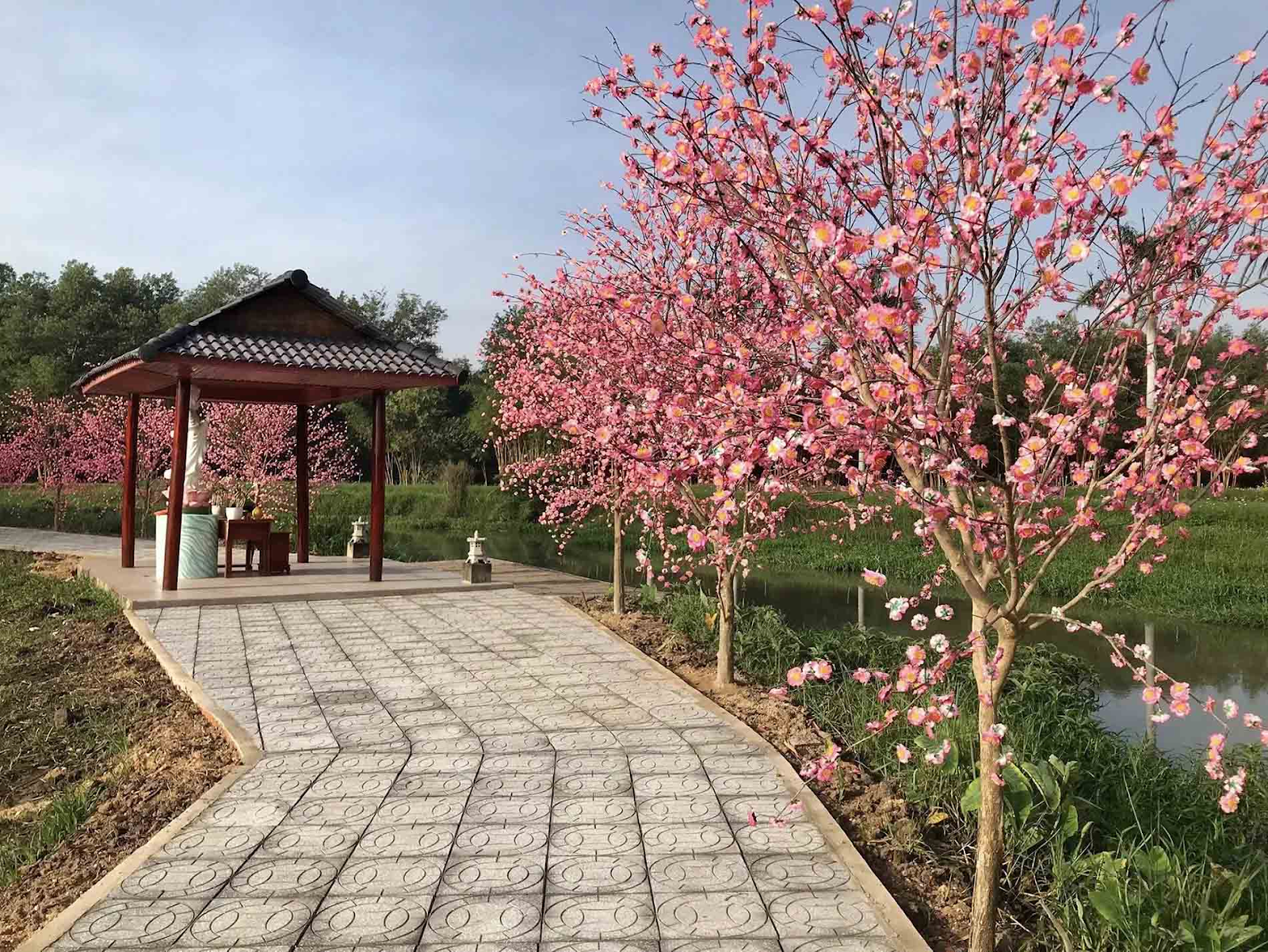 Khu vực vườn hoa bốn mùa bởi màu sắc và sự đa dạng của các loài hoa.