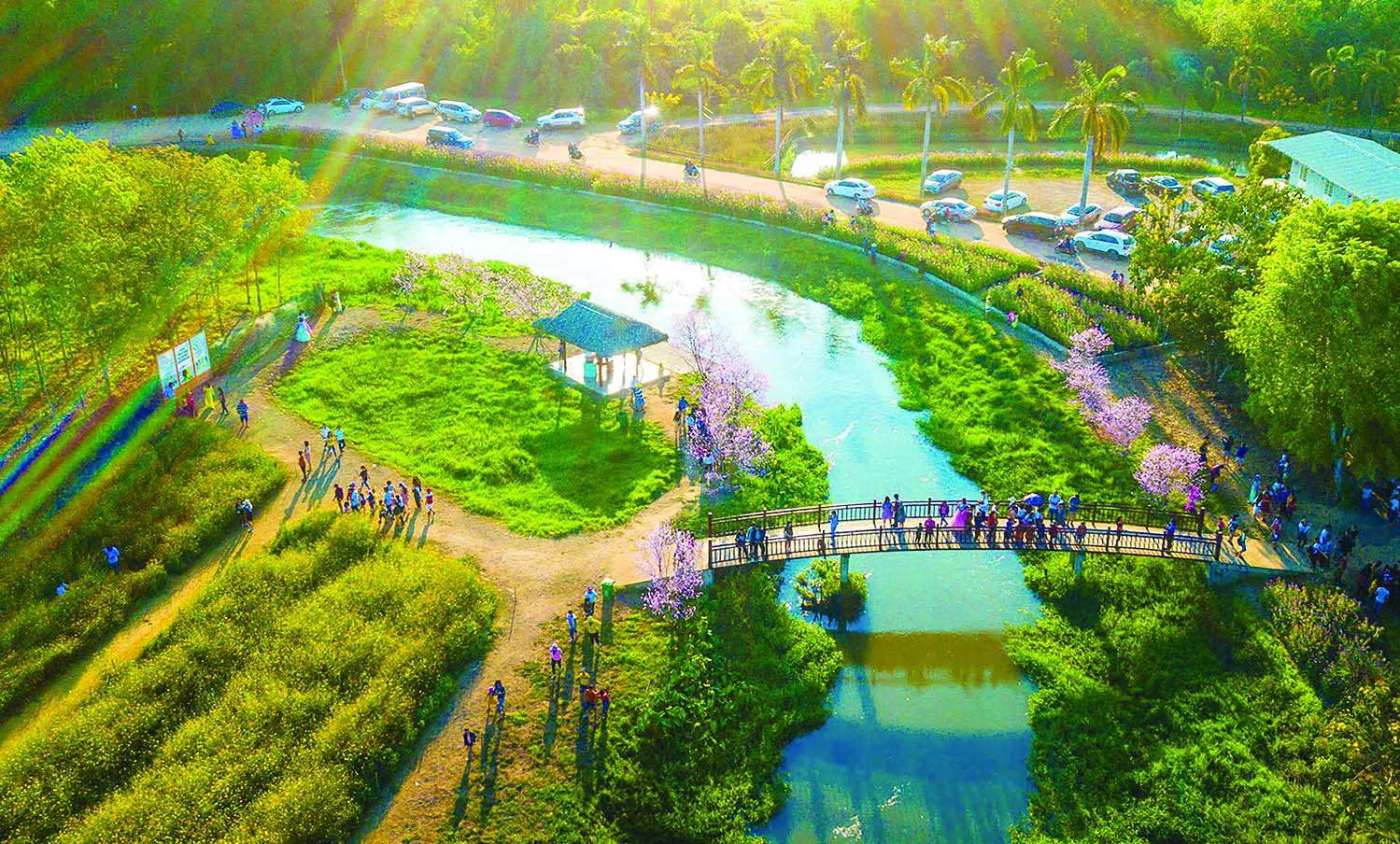 Toàn cảnh khu vực quanh cầu nhìn từ trên cao.