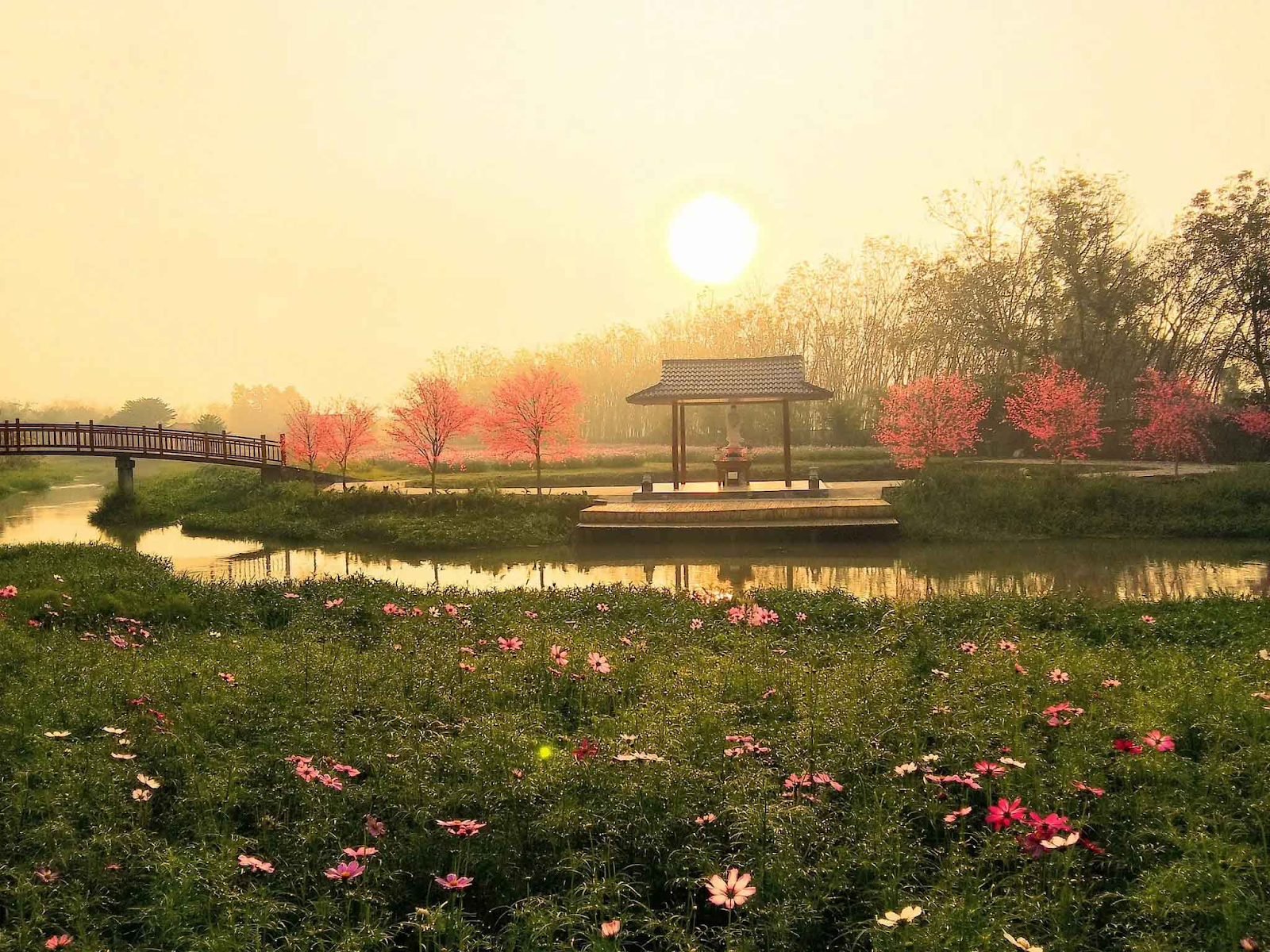 Thủy Hoa Viên mang đến một không gian chuẩn Hàn Quốc cho du khách.