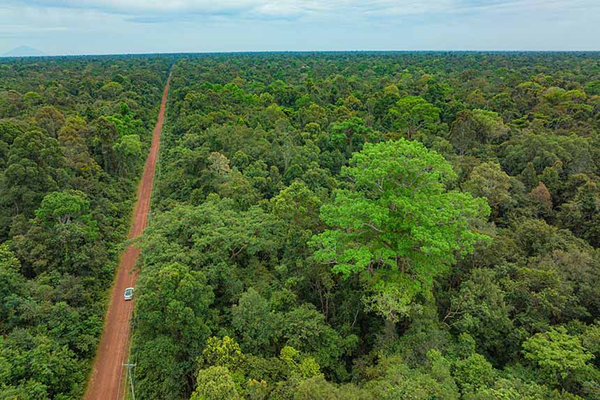 Toàn bộ khung cảnh nhìn từ trên cao của khu vườn. 