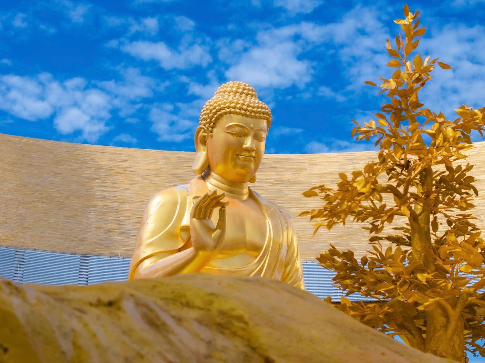 Hình ảnh tượng Phật bên gốc cây sung trên đỉnh núi Bà Đen